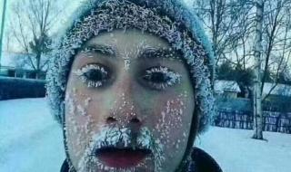 莫斯科没有眼泪简谱 莫斯科没有眼泪简谱